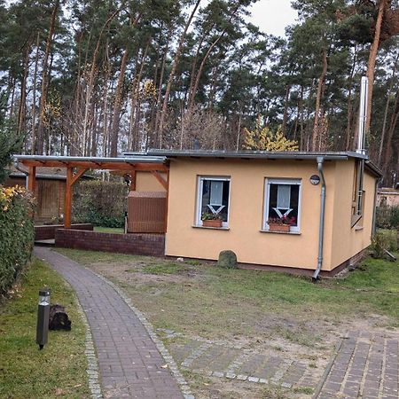 Spreewaldhaeuser Golinski Mit Kamin Am Neuendorfer See Alt Schadow エクステリア 写真