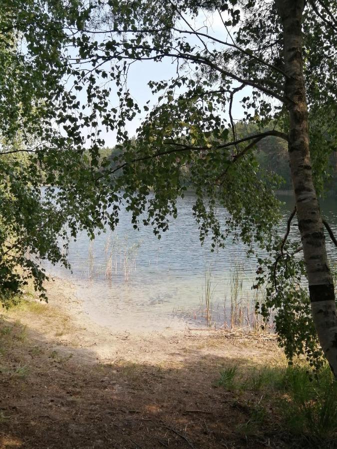 Spreewaldhaeuser Golinski Mit Kamin Am Neuendorfer See Alt Schadow エクステリア 写真