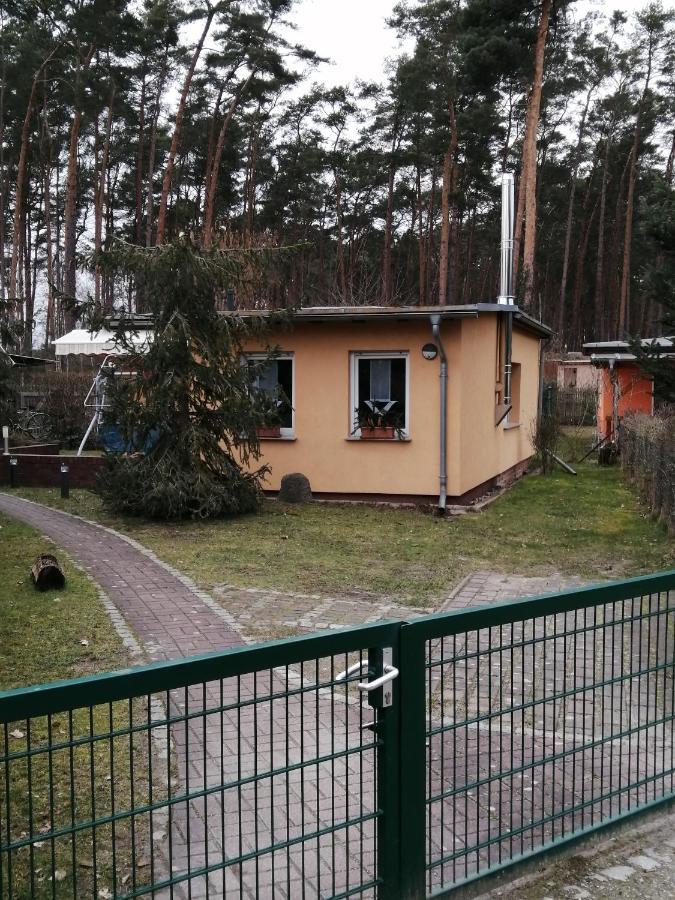 Spreewaldhaeuser Golinski Mit Kamin Am Neuendorfer See Alt Schadow エクステリア 写真