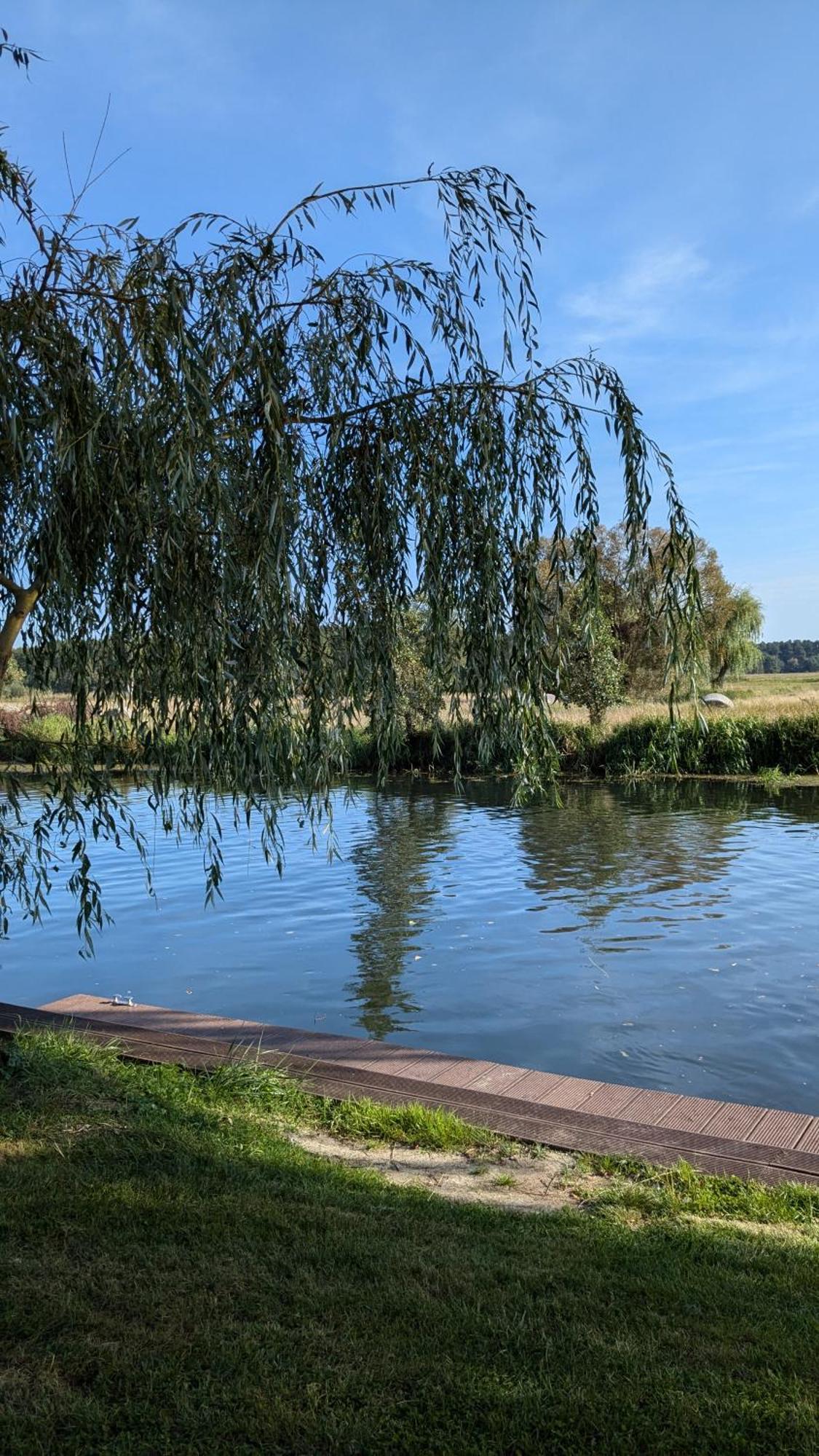 Spreewaldhaeuser Golinski Mit Kamin Am Neuendorfer See Alt Schadow エクステリア 写真